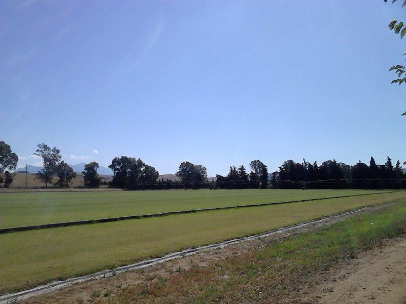 Country Property for sale in Sotogrande
