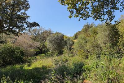 Plot for sale in Sotogrande